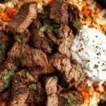 Steak Queso Rice 34.png