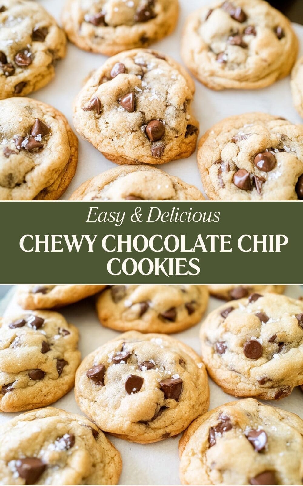 Chewy Chocolate Chip Cookies